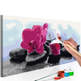 Obraz do samodzielnego malowania - Orchidea i kamienie 