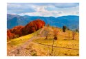 Fototapeta - Jesienny pejzaż, Karpaty