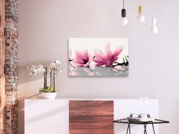 Obraz do samodzielnego malowania - Magnolia (białe tło)