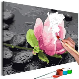 Obraz do samodzielnego malowania - Różowy kwiat i kamienie