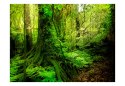 Fototapeta - Zielona Dżungla, las