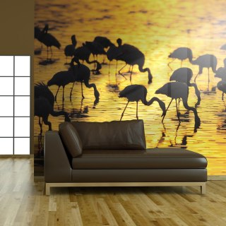 Fototapeta - flamingi na jeziorze