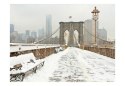 Fototapeta - Nowy Jork, Most, Śnieg