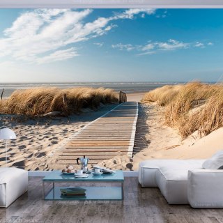 Fototapeta - Plaża Morza Północnego