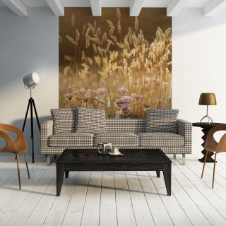 Fototapeta - Zboże, rośliny, natura