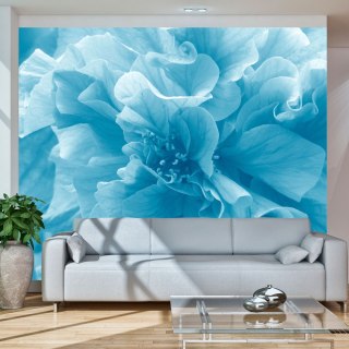 Fototapeta - Blue, Niebieska Azalea