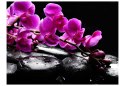 Fototapeta - Chwila relaksu : orchidea
