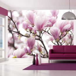 FOTOTAPETA 200x154 +KLEJ, Gałązka kwitnącej magnolii