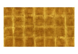 Fototapeta Samoprzylepna - 490x280 Złota klatka
