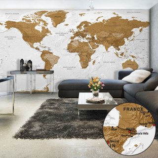 Fototapeta Samoprzylepna - 490x280 Mapa świata, Brąz
