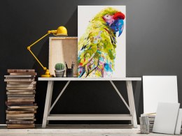 Obraz do samodzielnego malowania - Tropikalna papuga