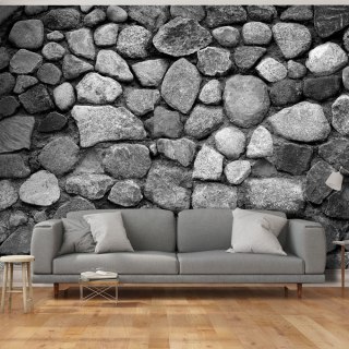 Fototapeta samoprzylepna - Szary Skalny Mur