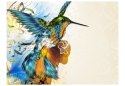 Fototapeta - Kolorowy koliber, ptak