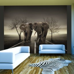 Fototapeta - Dwa słonie na drodze