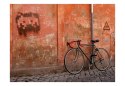 Fototapeta - Rower przy murze, ulica