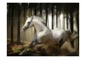 Fototapeta - Biały koń w galopie, Las