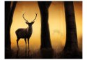 Fototapeta - Jeleń w lesie o świcie