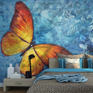 Fototapeta - Pomarańczowy Motyl, Blue