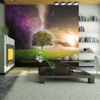 Fototapeta - Magiczne drzewo, Gwiazdy