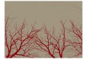 Fototapeta - Czerwone gałęzie, szara