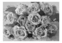 Fototapeta - szare róże, kwiaty