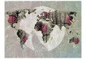 Fototapeta - Mapa Świata, Szary róż