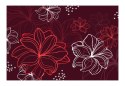 Fototapeta - Czerwone rysowane kwiaty