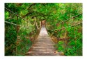 Fototapeta - Most w dżungli, lesie 3D