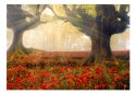 Fototapeta - Drzewa, kwiaty, natura