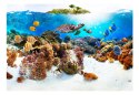 Fototapeta - Rafa koralowa i ryby
