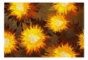 Fototapeta - Malowane słoneczniki
