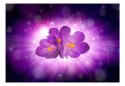 Fototapeta - Fioletowe kwiaty 3D