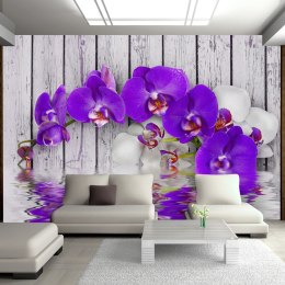 Fototapeta - Fioletowy kwiat i deski
