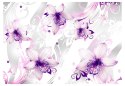Fototapeta - Biało-fioletowe Kwiaty