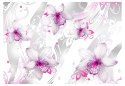 Fototapeta - Fioletowy wzór kwiatów