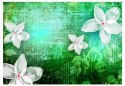 Fototapeta - Zielona, białe kwiaty