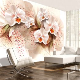 Fototapeta - Herbaciane orchidee