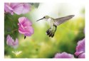 Fototapeta - Koliber, kwiaty, zdjęcie