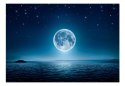 Fototapeta - Księżycowa noc, jezioro