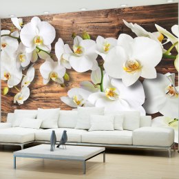 Fototapeta - orchidea i drewno