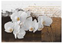 Fototapeta - Białe kwiaty i napisy