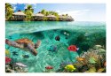 Fototapeta - Egzotyczne morze, żłów