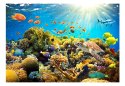 Fototapeta - Kolorowa rafa koralowa