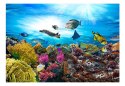 Fototapeta - Rafa koralowa, Ryby