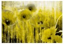 Fototapeta - Żółte maki, abstrakcja