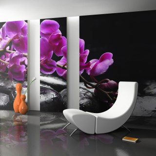 Fototapeta - Fioletowe Orchidee