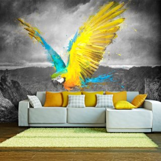 Fototapeta - Exotic parrot, Papuga