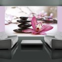FOTOTAPETA 450x270 +KLEJ, Relaxation and Wellness