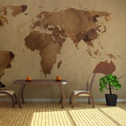 Fototapeta - Brązowa mapa świata