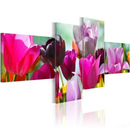 Obraz - Czar różowych tulipanów